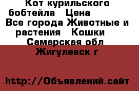 Кот курильского бобтейла › Цена ­ 5 000 - Все города Животные и растения » Кошки   . Самарская обл.,Жигулевск г.
